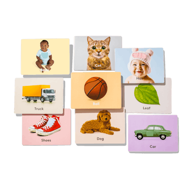 Lovevery Animals And Cards