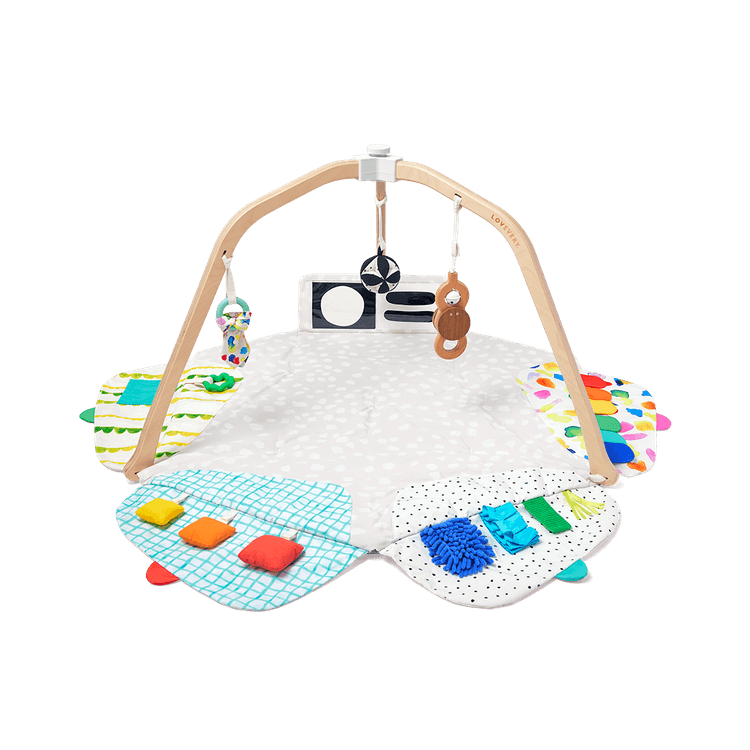 Look Inside: Play Gym