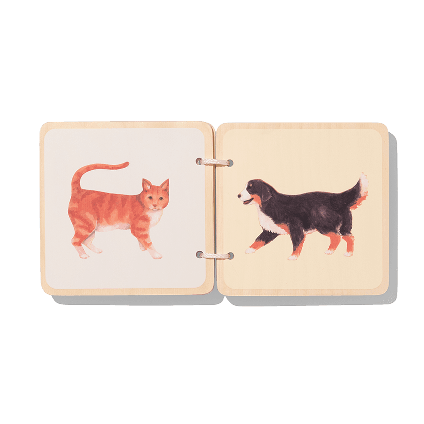 Lovevery Play Kit Charmer Book Bundle