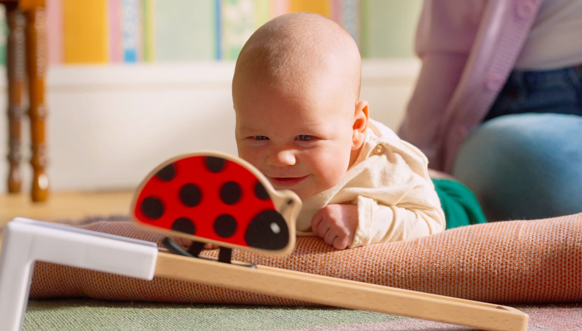 Lovevery Looker Play Kit Ladybug