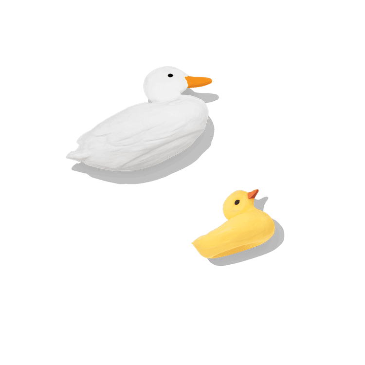Big & Little Ducks