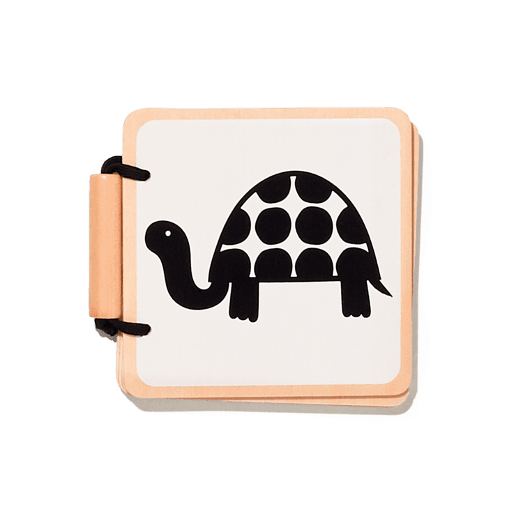 Lovevery Early Reader Club