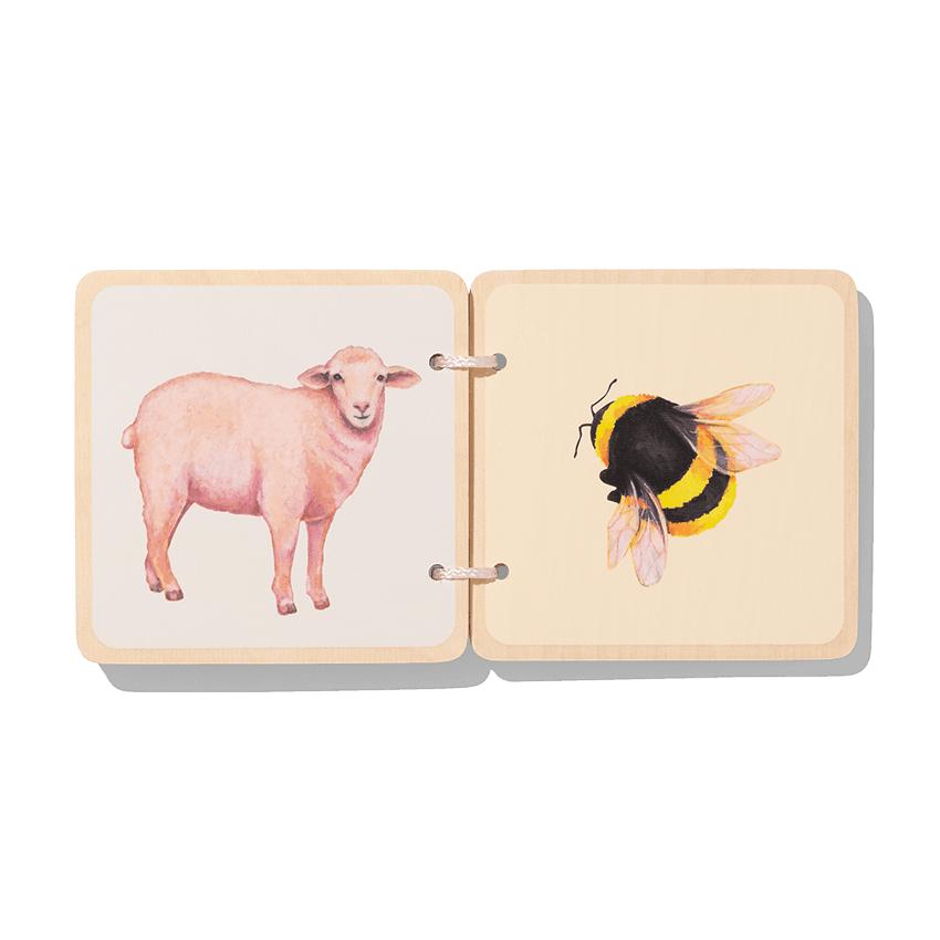 Lovevery Play Kit Charmer Book Bundle