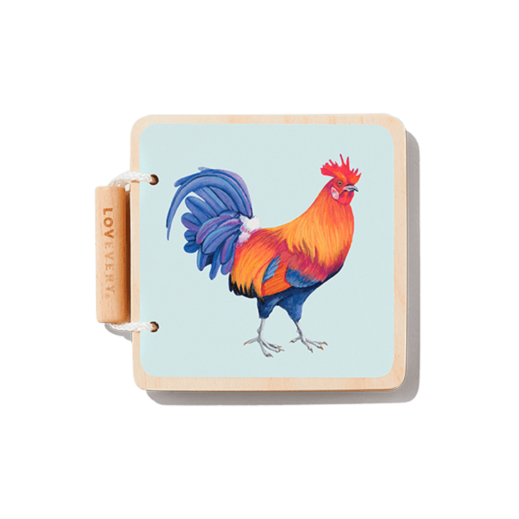 Lovevery Early Reader Club